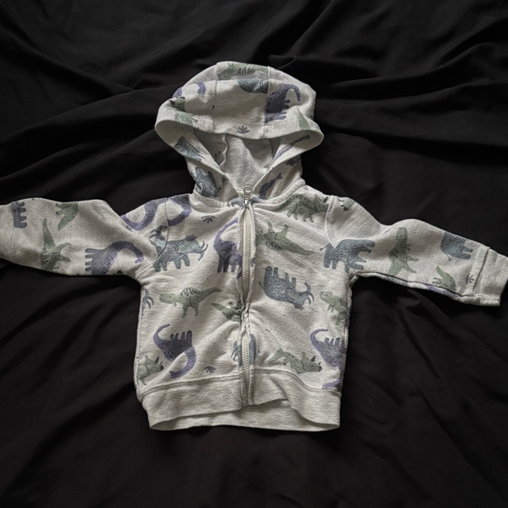 Carter's Gray Dinosaur Print Hoodie